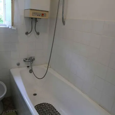 In 54678 * 塞尔瑟